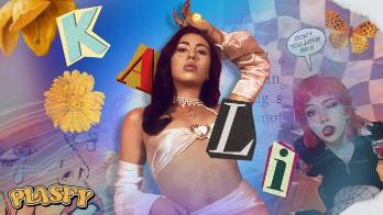 Plasfy Design Accents